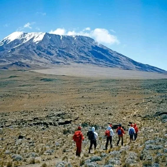 Trekking ai piedi del Kilimanjaro
