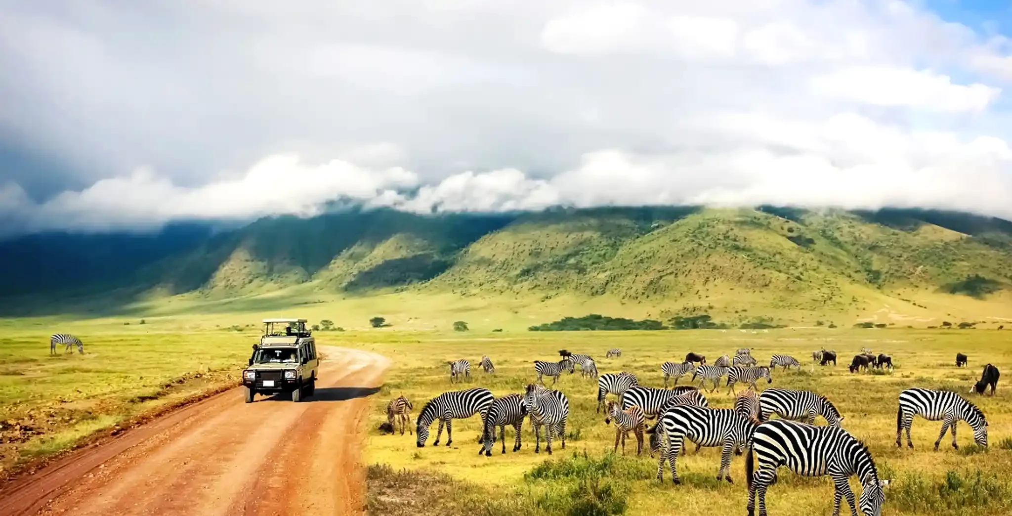 Safari in Tanzania con veicolo 4x4 e zebre nella savana